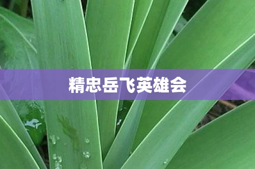 精忠岳飞英雄会