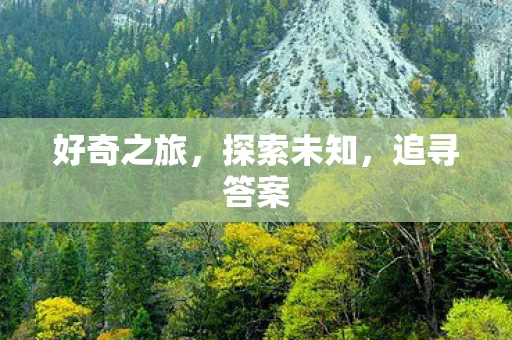 好奇之旅，探索未知，追寻答案