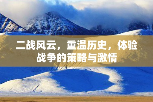 二战风云，重温历史，体验战争的策略与激情