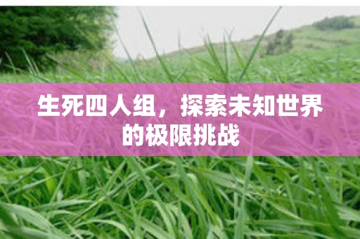 生死四人组，探索未知世界的极限挑战