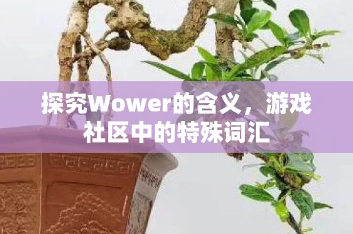 探究Wower的含义图片
