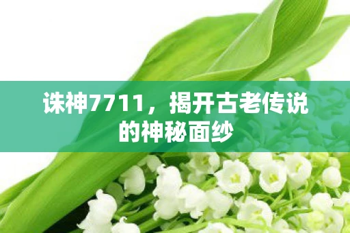 诛神7711，揭开古老传说的神秘面纱