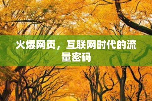 火爆网页，互联网时代的流量密码