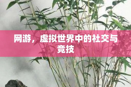 网游，虚拟世界中的社交与竞技