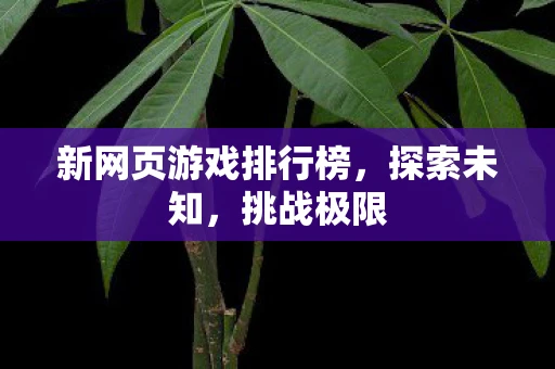 新网页游戏排行榜，探索未知，挑战极限