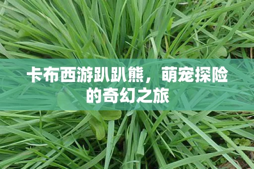 萌宠探险的奇幻之旅图片