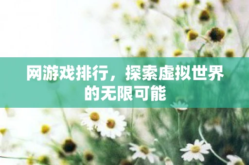 网游戏排行，探索虚拟世界的无限可能