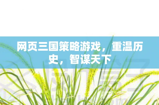 网页三国策略游戏，重温历史，智谋天下