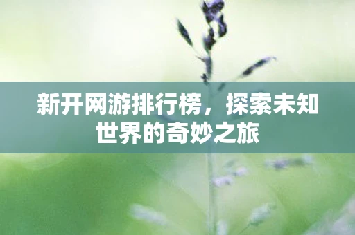 新开网游排行榜，探索未知世界的奇妙之旅