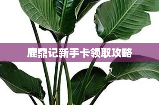 鹿鼎记新手卡领取攻略