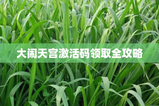 大闹天宫激活码领取全攻略