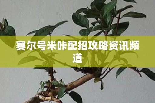 赛尔号米咔配招攻略资讯频道图片