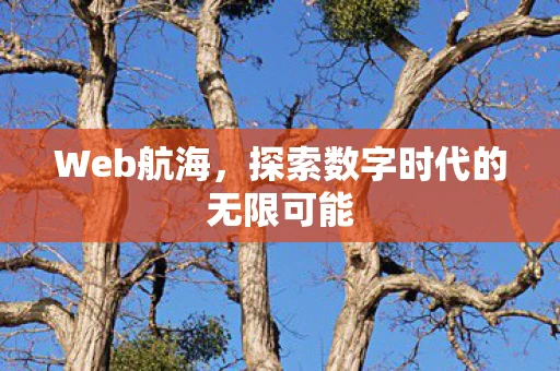 Web航海，探索数字时代的无限可能