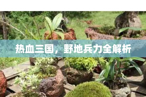 热血三国，野地兵力全解析