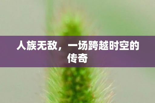 人族无敌，一场跨越时空的传奇