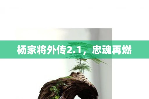 杨家将外传2.1，忠魂再燃