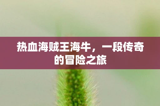 热血海贼王海牛，一段传奇的冒险之旅