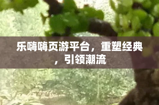 乐嗨嗨页游平台，重塑经典，引领潮流