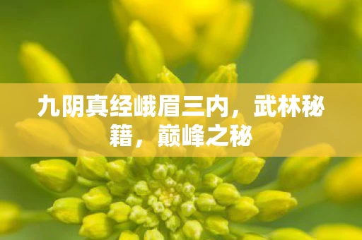 九阴真经峨眉三内图片