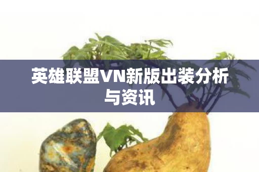 英雄联盟VN新版出装分析与资讯图片