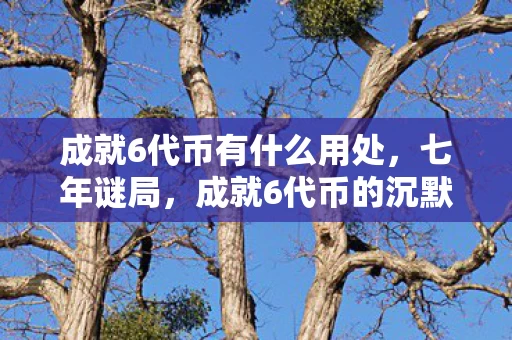 成就6代币有什么用处,七年谜局,成就6代币的沉默史诗与千万玩家未解的泪目真相 成就6代币有什么用处,七年谜局,成就6代币的沉默史诗与千万玩家未解的泪目真相