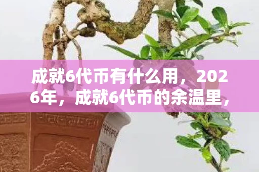 成就6代币有什么用,2026年,成就6代币的余温里,伏笔成殇,鼻子一酸忆往昔 成就6代币有什么用,2026年,成就6代币的余温里,伏笔成殇,鼻子一酸忆往昔