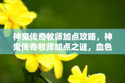 神鬼传奇牧师加点攻略,神鬼传奇牧师加点之谜,血色线索下的悬案,毛骨悚然真相 神鬼传奇牧师加点攻略,神鬼传奇牧师加点之谜,血色线索下的悬案,毛骨悚然真相