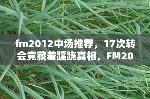 fm2012中场推荐,17次转会竟藏着蹊跷真相,FM2012中场背后让人后背发凉 fm2012中场推荐,17次转会竟藏着蹊跷真相,FM2012中场背后让人后背发凉