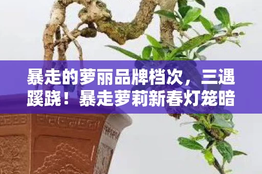 暴走的萝丽品牌档次,三遇蹊跷!暴走萝莉新春灯笼暗藏玄机,真相揭晓后背发凉 暴走的萝丽品牌档次,三遇蹊跷!暴走萝莉新春灯笼暗藏玄机,真相揭晓后背发凉