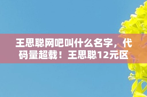 王思聪网吧叫什么名字,代码量超载!王思聪12元区触发暗线,头皮发麻的赛博网吧真相 王思聪网吧叫什么名字,代码量超载!王思聪12元区触发暗线,头皮发麻的赛博网吧真相