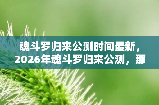 魂斗罗归来公测时间最新,2026年魂斗罗归来公测,那声上啊成伏笔,鼻子一酸才懂离散 魂斗罗归来公测时间最新,2026年魂斗罗归来公测,那声上啊成伏笔,鼻子一酸才懂离散