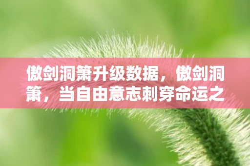 傲剑洞箫升级数据,傲剑洞箫,当自由意志刺穿命运之茧,为何我们仍在重复选择? 傲剑洞箫升级数据,傲剑洞箫,当自由意志刺穿命运之茧,为何我们仍在重复选择?