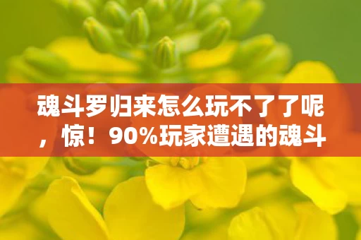 魂斗罗归来怎么玩不了了呢,惊!90%玩家遭遇的魂斗罗归来三平台崩溃谜团,你的设备中招了吗? 魂斗罗归来怎么玩不了了呢,惊!90%玩家遭遇的魂斗罗归来三平台崩溃谜团,你的设备中招了吗?