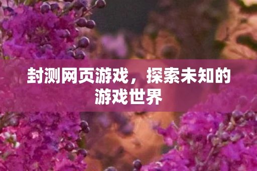 封测网页游戏，探索未知的游戏世界