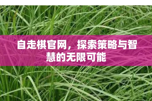 自走棋官网，探索策略与智慧的无限可能