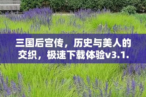 历史与美人的交织图片
