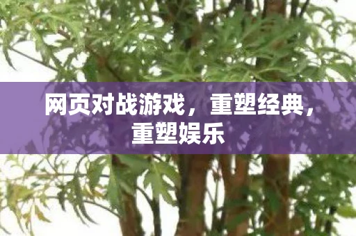 网页对战游戏，重塑经典，重塑娱乐