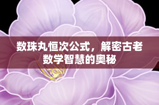 数珠丸恒次公式，解密古老数学智慧的奥秘