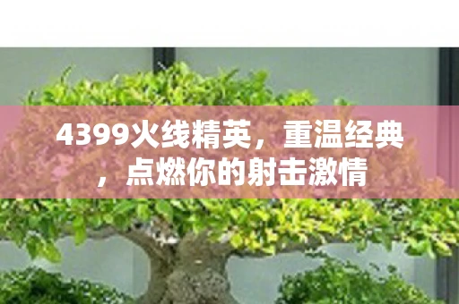 4399火线精英，重温经典，点燃你的射击激情