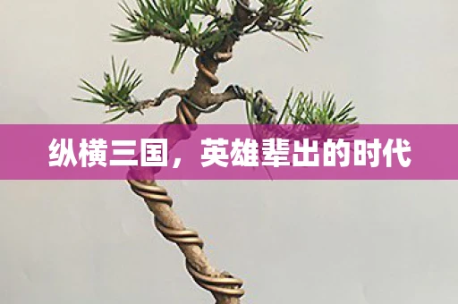 纵横三国，英雄辈出的时代