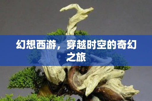 幻想西游，穿越时空的奇幻之旅