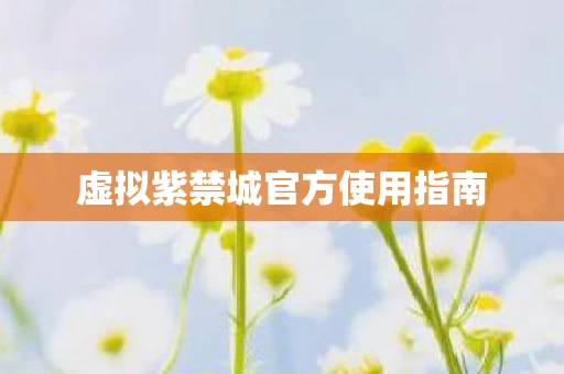 虚拟紫禁城官方使用指南图片
