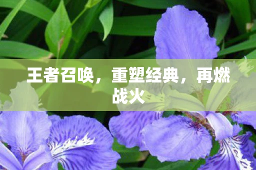 王者召唤，重塑经典，再燃战火