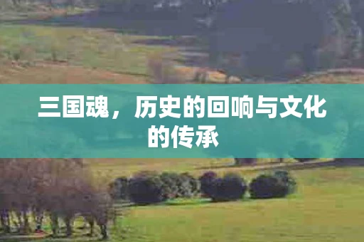 三国魂，历史的回响与文化的传承