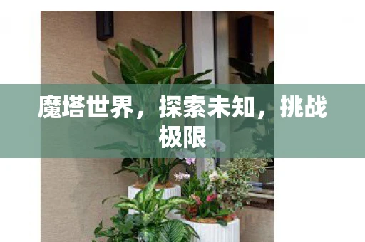 魔塔世界，探索未知，挑战极限