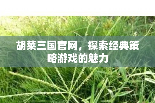 胡莱三国官网，探索经典策略游戏的魅力
