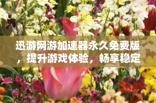 迅游网游加速器永久免费版图片
