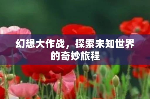 幻想大作战，探索未知世界的奇妙旅程