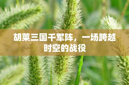 胡莱三国千军阵，一场跨越时空的战役