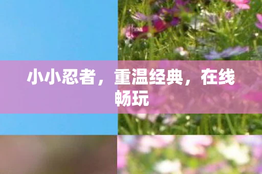 小小忍者，重温经典，在线畅玩